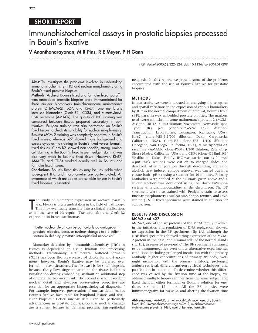 (PDF) Immunohistochemical assays in prostatic biopsies processed in