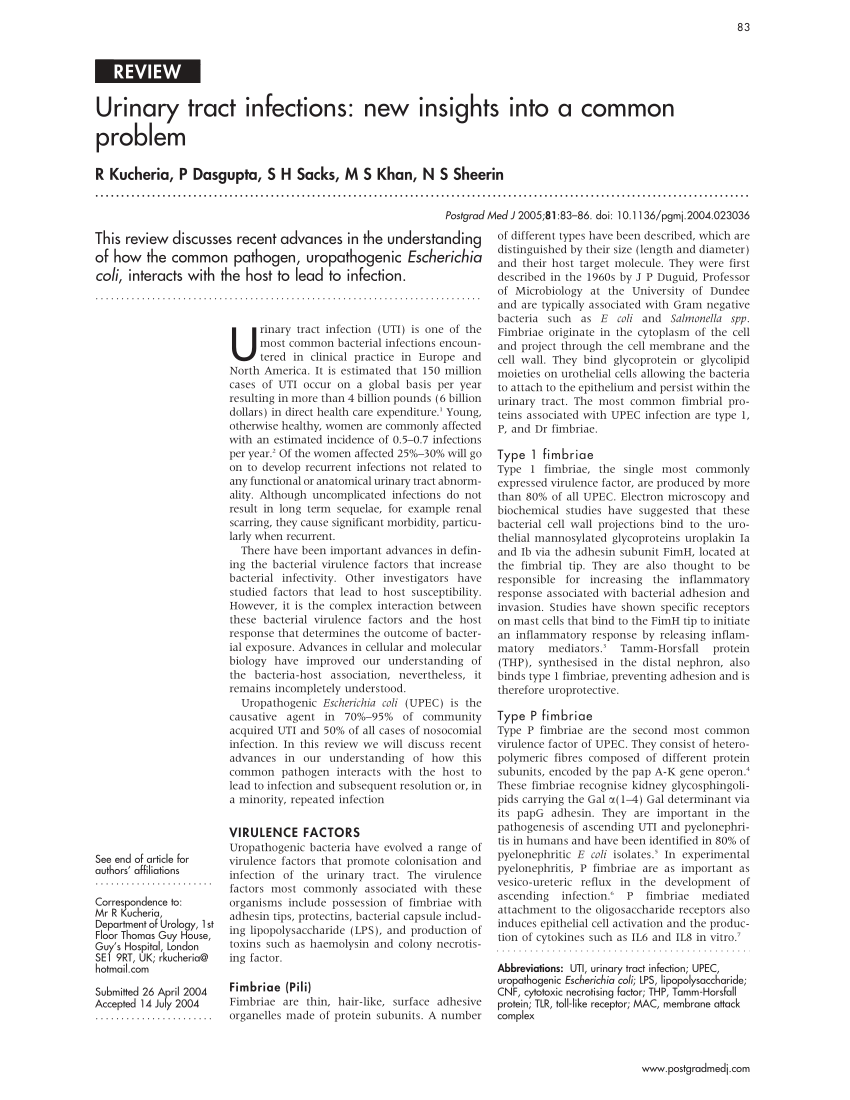 literature review urinary tract infection