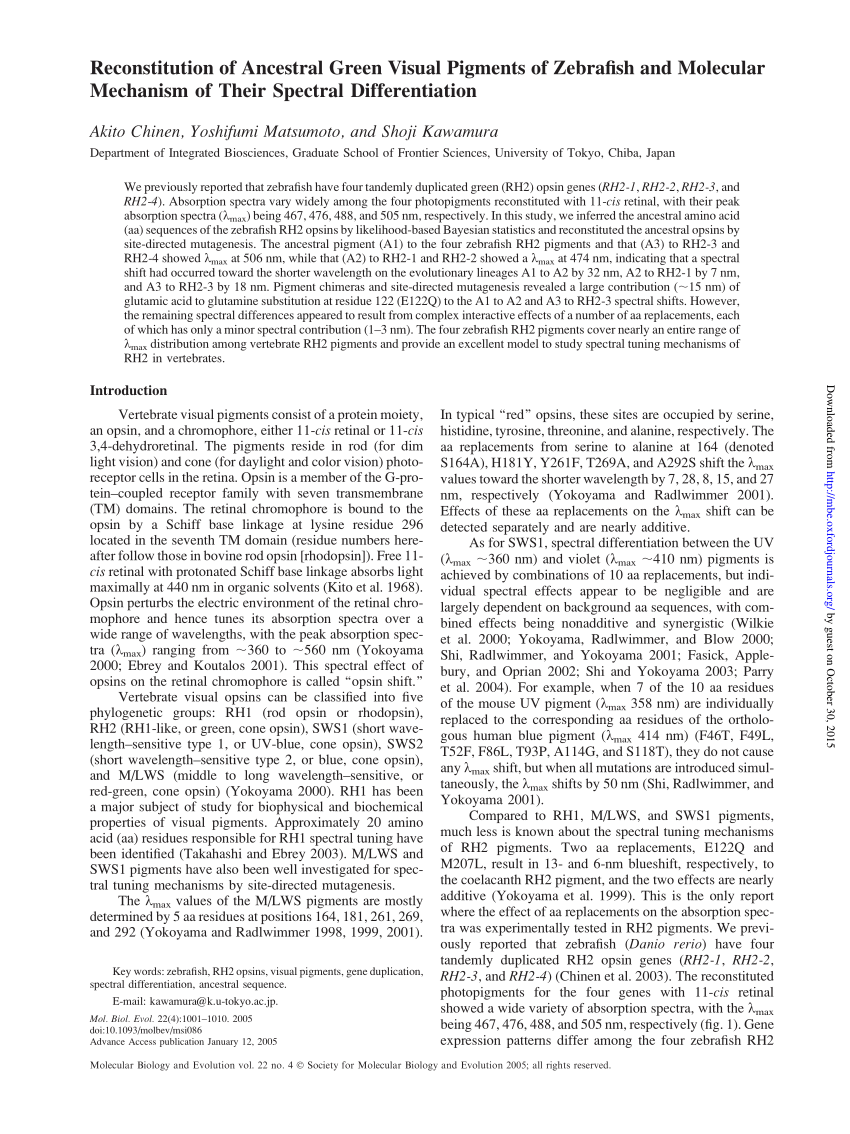 (PDF) Reconstitution of Ancestral Green Visual Pigments of Zebrafish