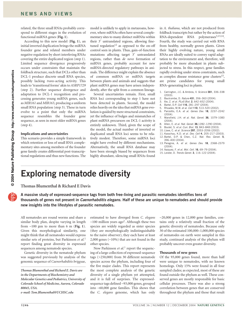 Exploring the significance of morphological diversity for