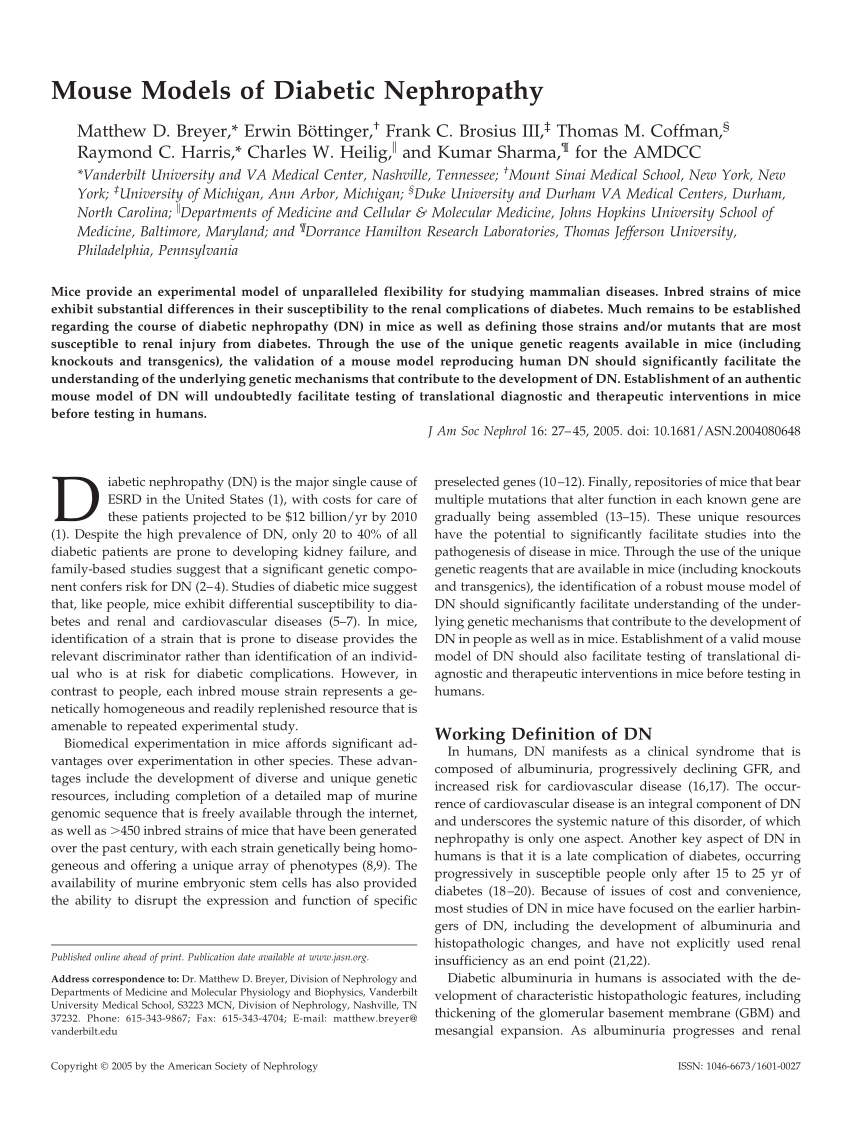 (PDF) Mouse Models of Diabetic Nephropathy