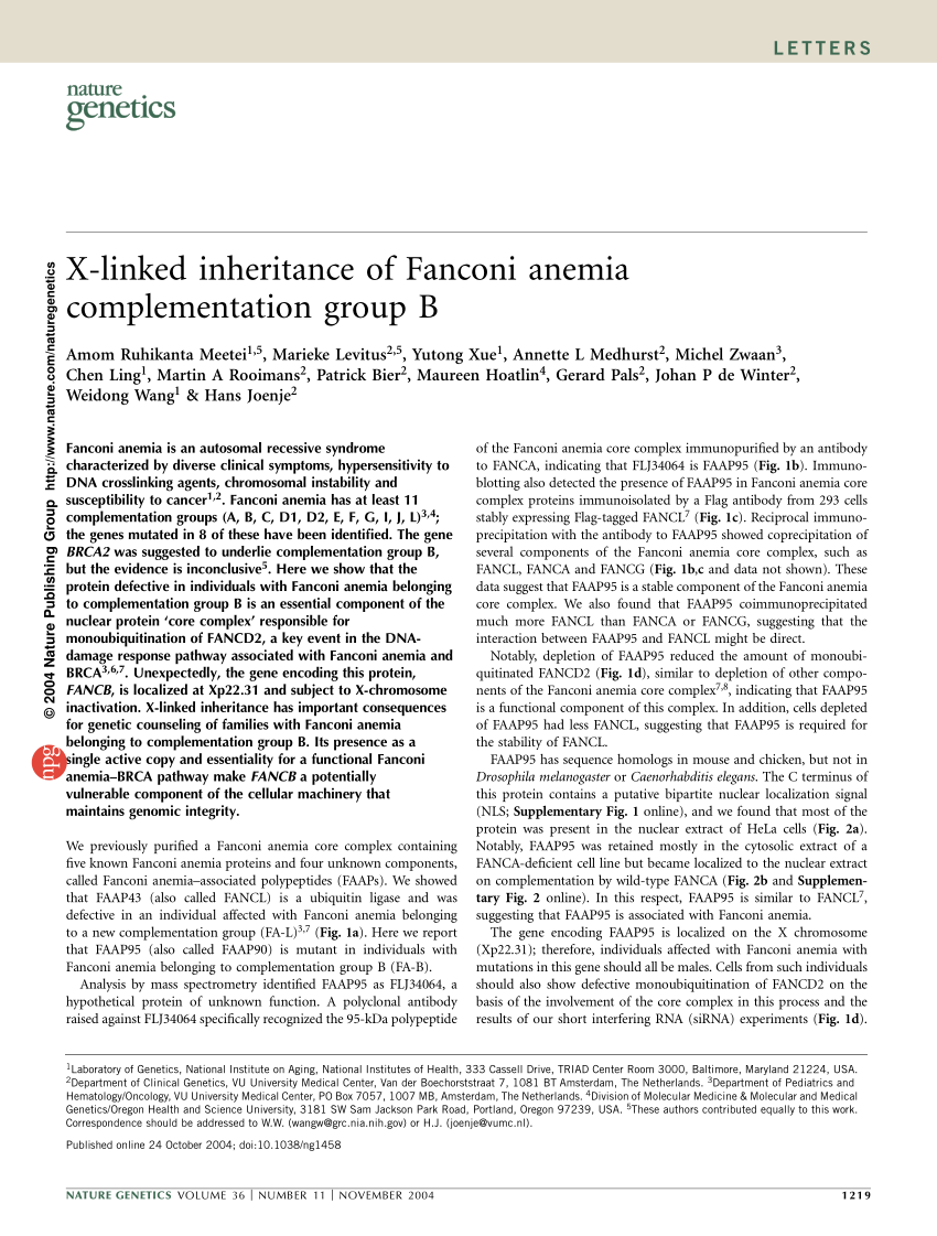 Pdf X Linked Inheritance Of Fanconi Anemia Complementation Group B