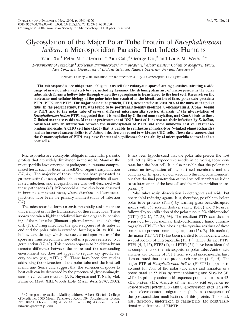 (PDF) Glycosylation of the Major Polar Tube Protein of Encephalitozoon ...