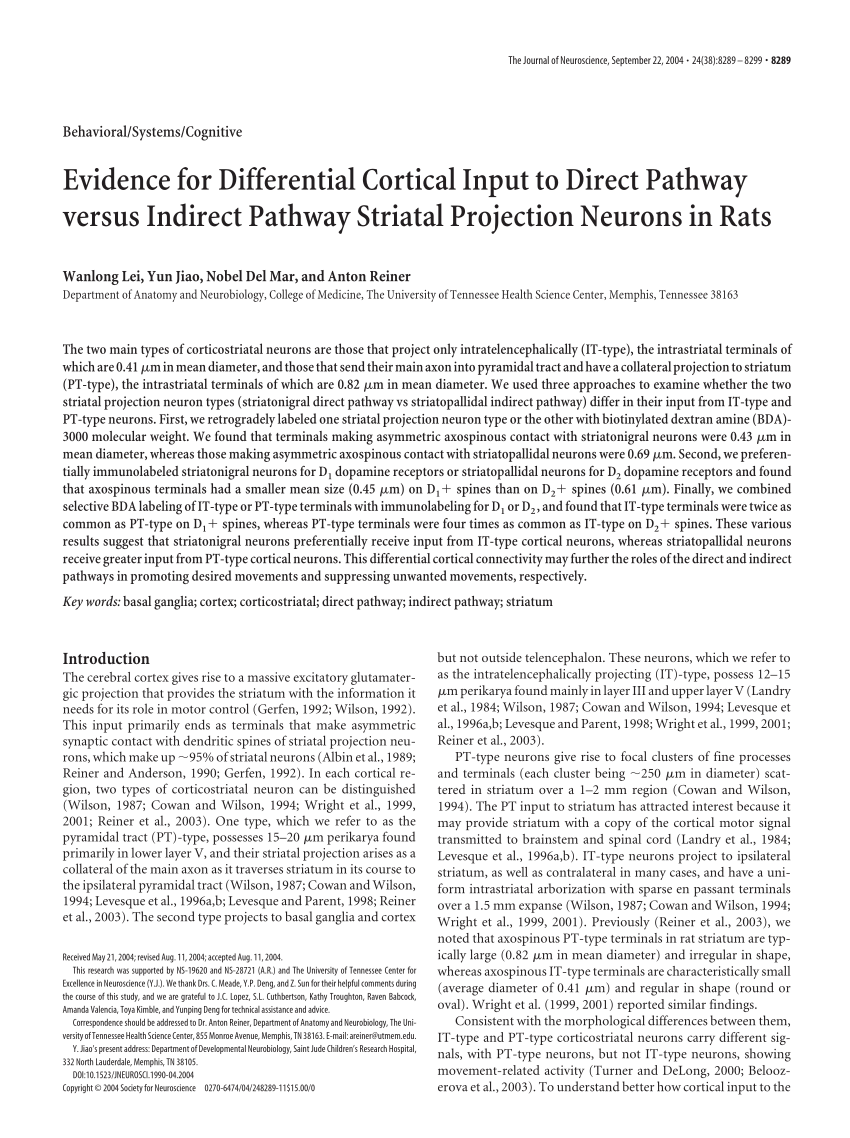 Pdf Evidence For Differential Cortical Input To Direct Pathway Versus Indirect Pathway 