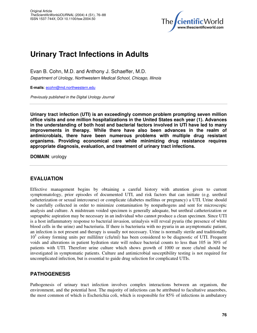 literature review urinary tract infection