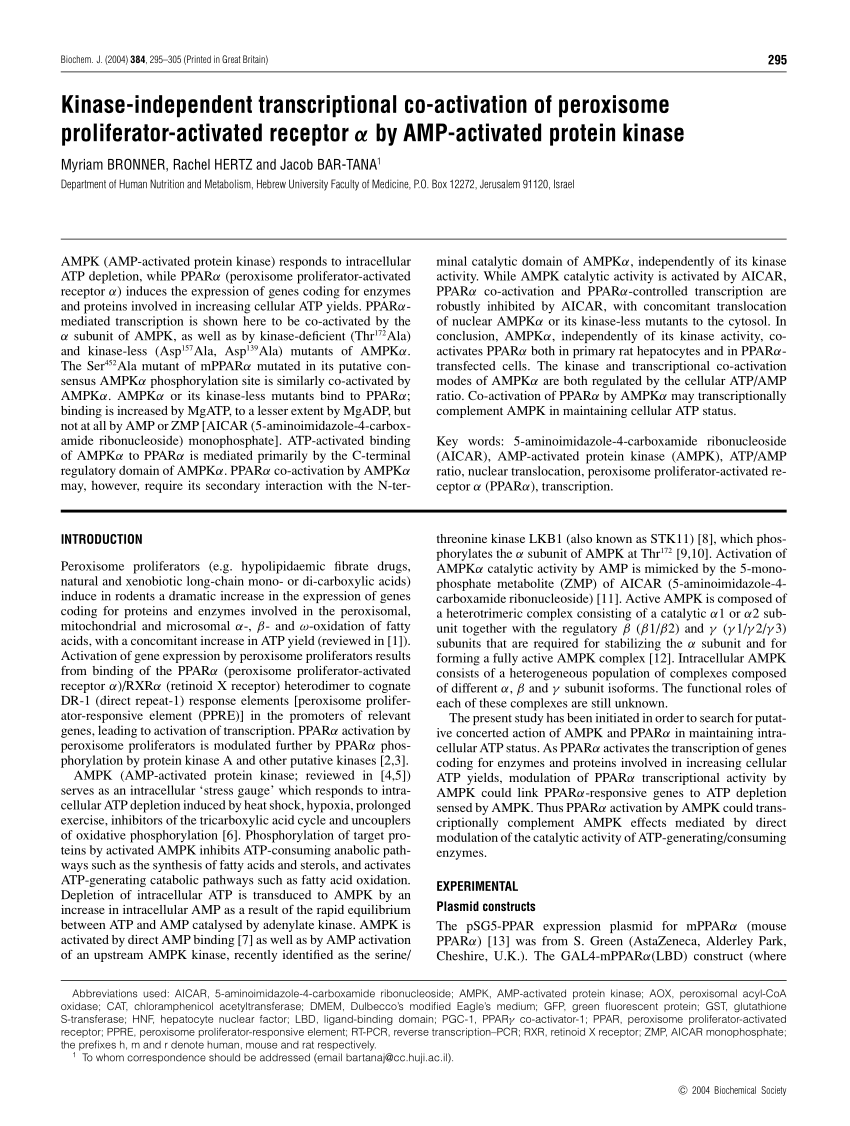 (PDF) Kinase-independent transcriptional co-activation of peroxisome