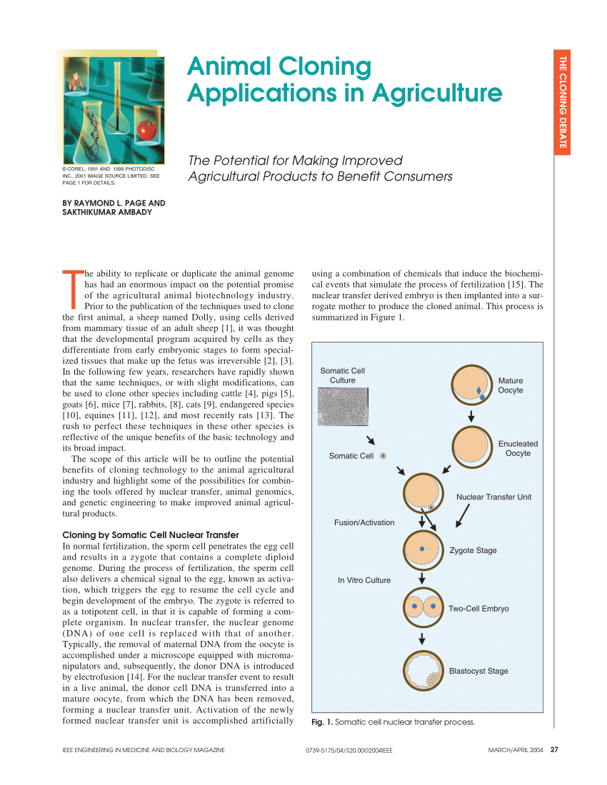 PDF) Animal cloning applications in agriculture