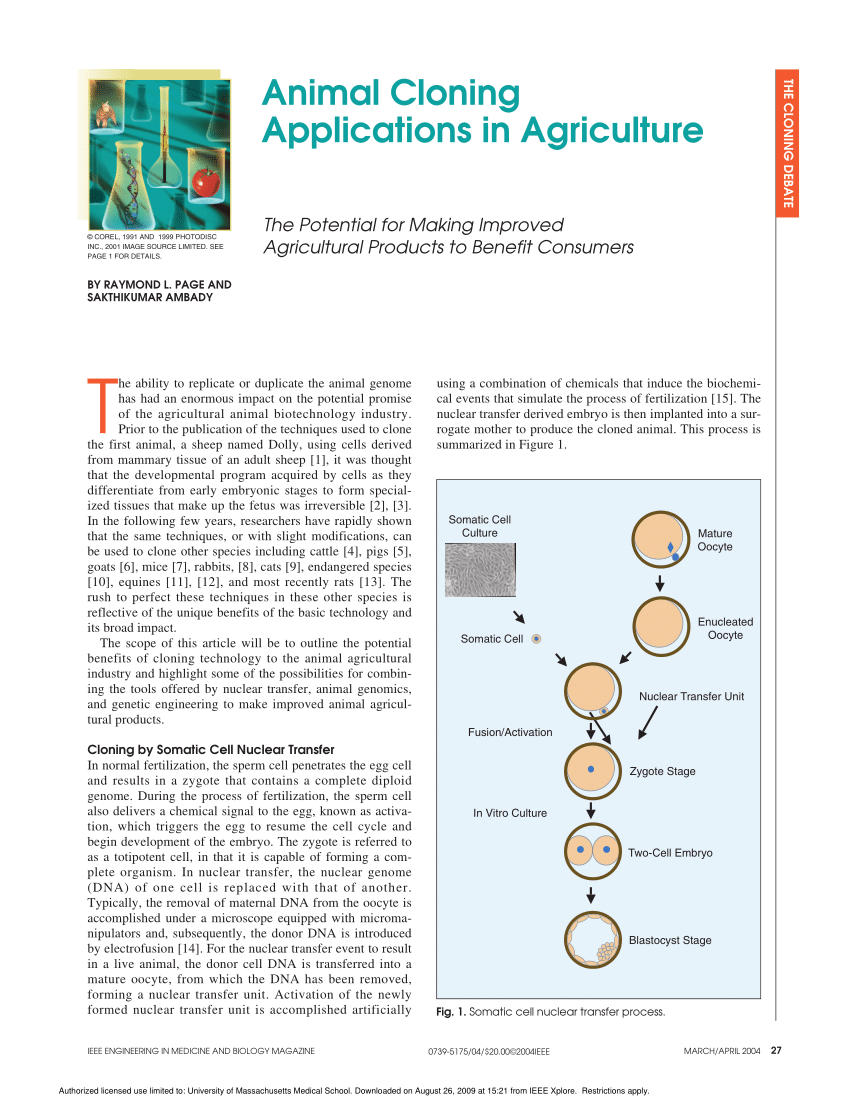 animal cloning research paper