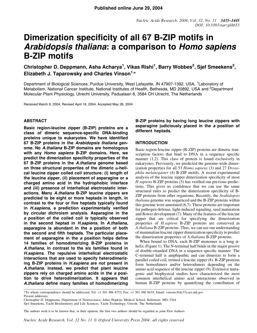 Pdf Dimerization Specificity Of All 67 B Zip Motifs In Arabidopsis Thaliana A Comparison To Homo Sapiens B Zip Motifs