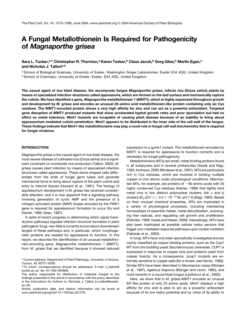 Afvist have nogle få PDF) A Fungal Metallothionein Is Required for Pathogenicity of Magnaporthe  grisea