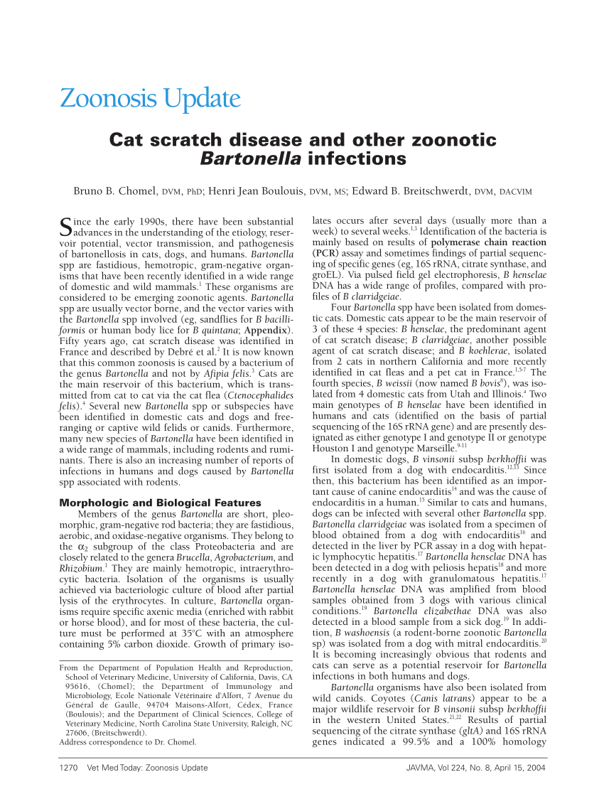 Pdf Cat Scratch Disease And Other Zoonotic Bartonella Infections