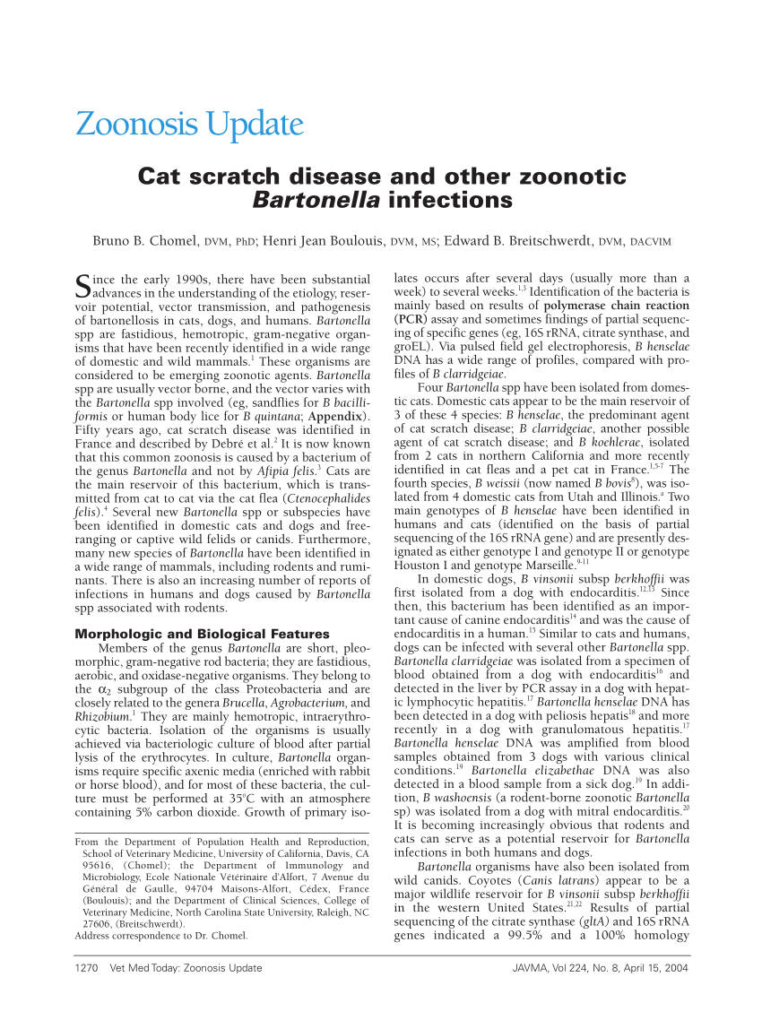 Natural History of Bartonella Infections (an Exception to Koch's