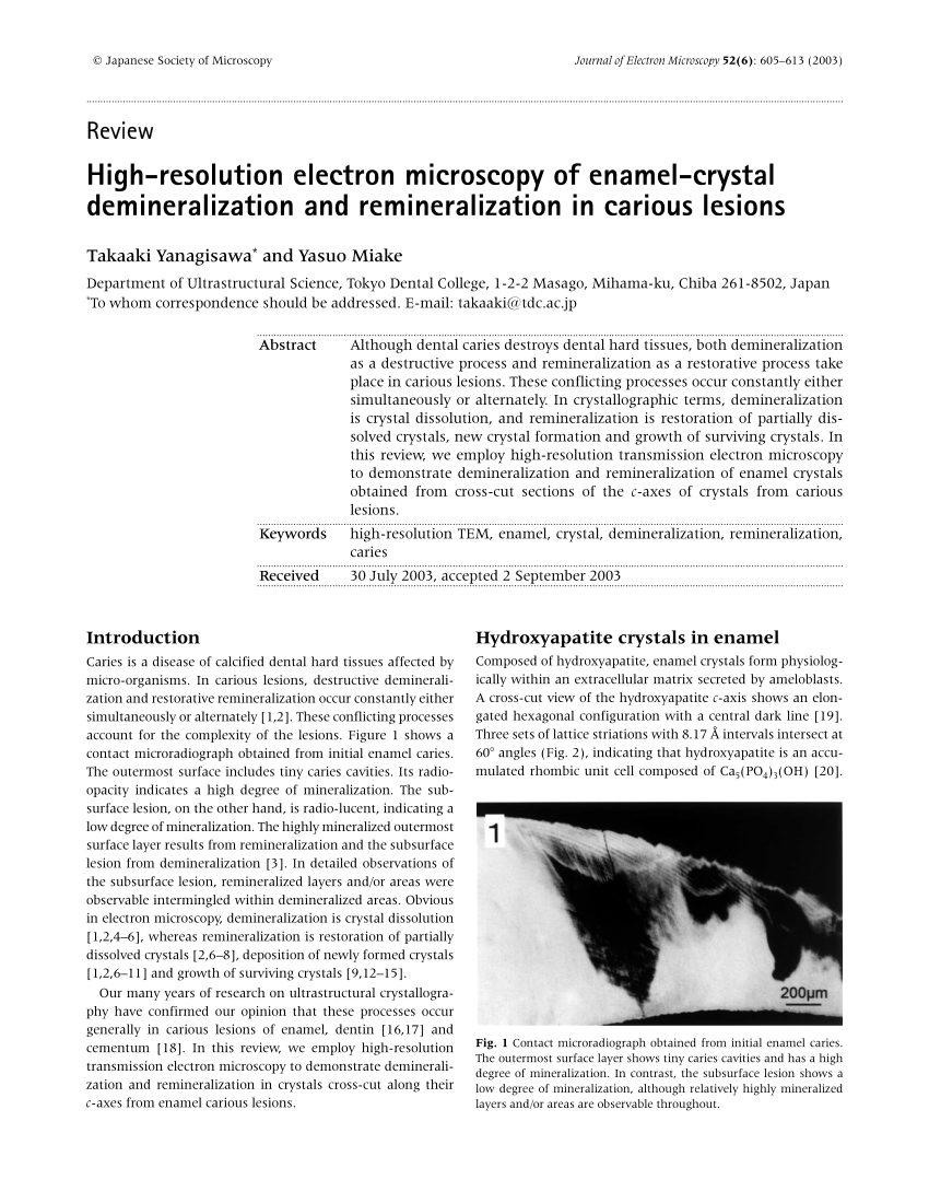 PDF High resolution electron microscopy of enamel crystal