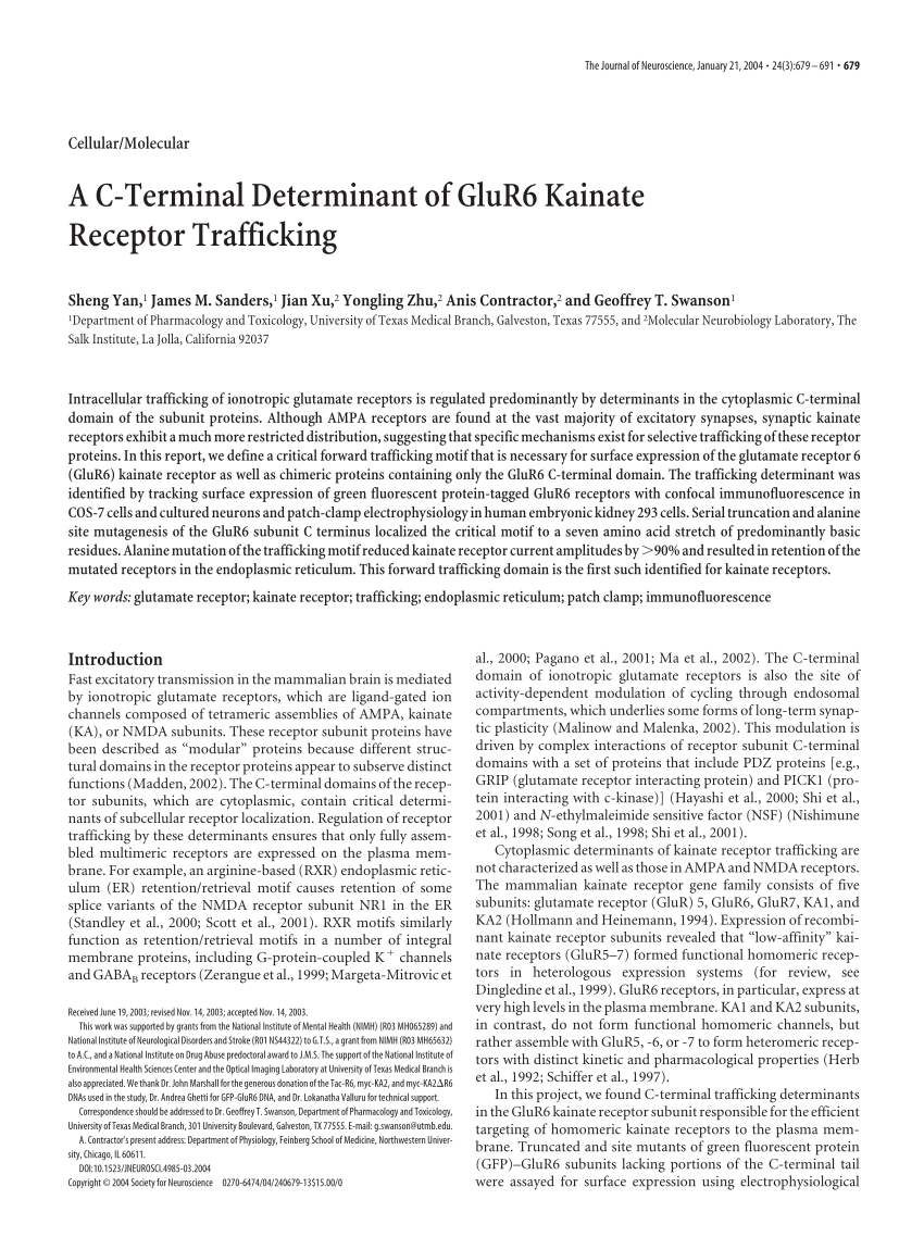 Download Pdf A C Terminal Determinant Of Glur6 Kainate Receptor Trafficking PSD Mockup Templates