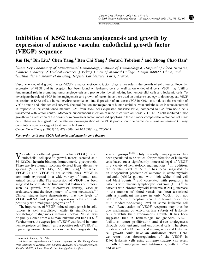 Inhibition of K562 leukemia angiogenesis and growth by 