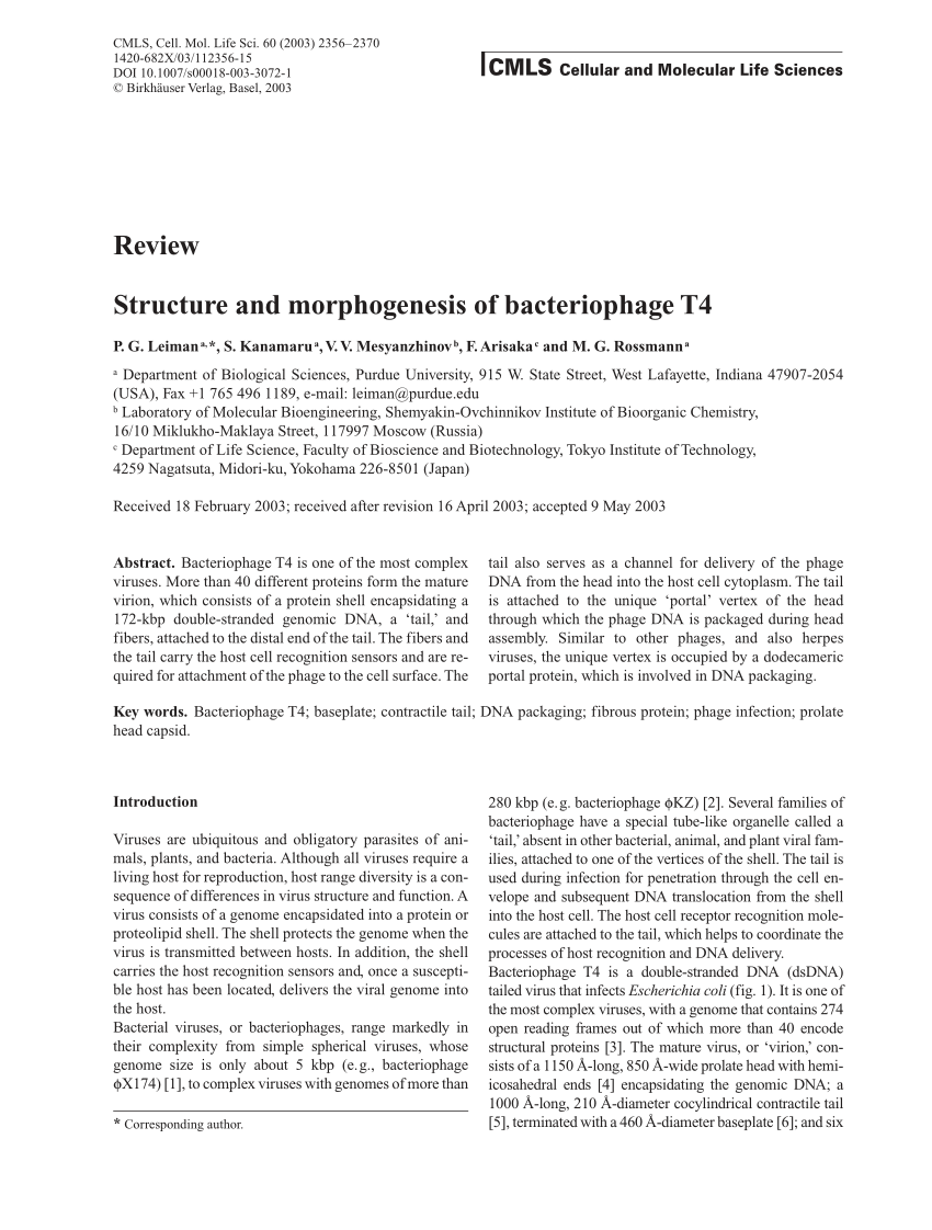 Featured image of post View 12 Dna Replication Worksheet Gp13 Answers