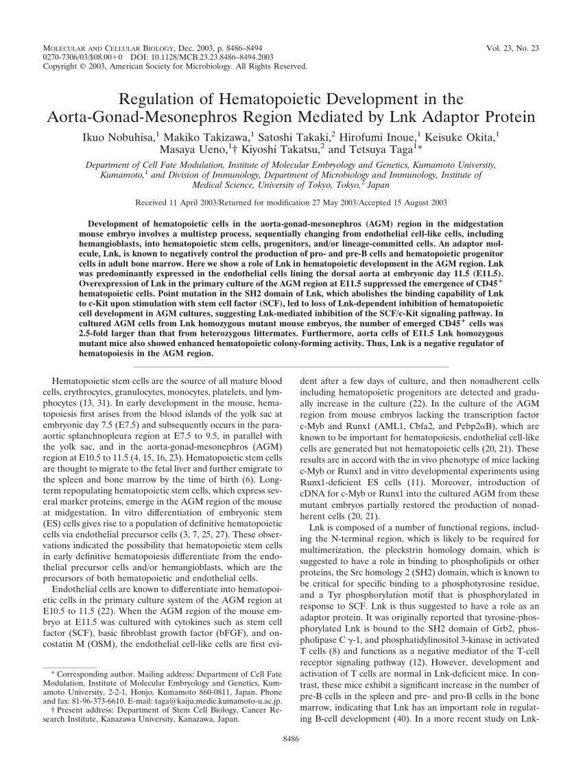(PDF) Regulation of Hematopoietic Development in the Aorta-Gonad ...