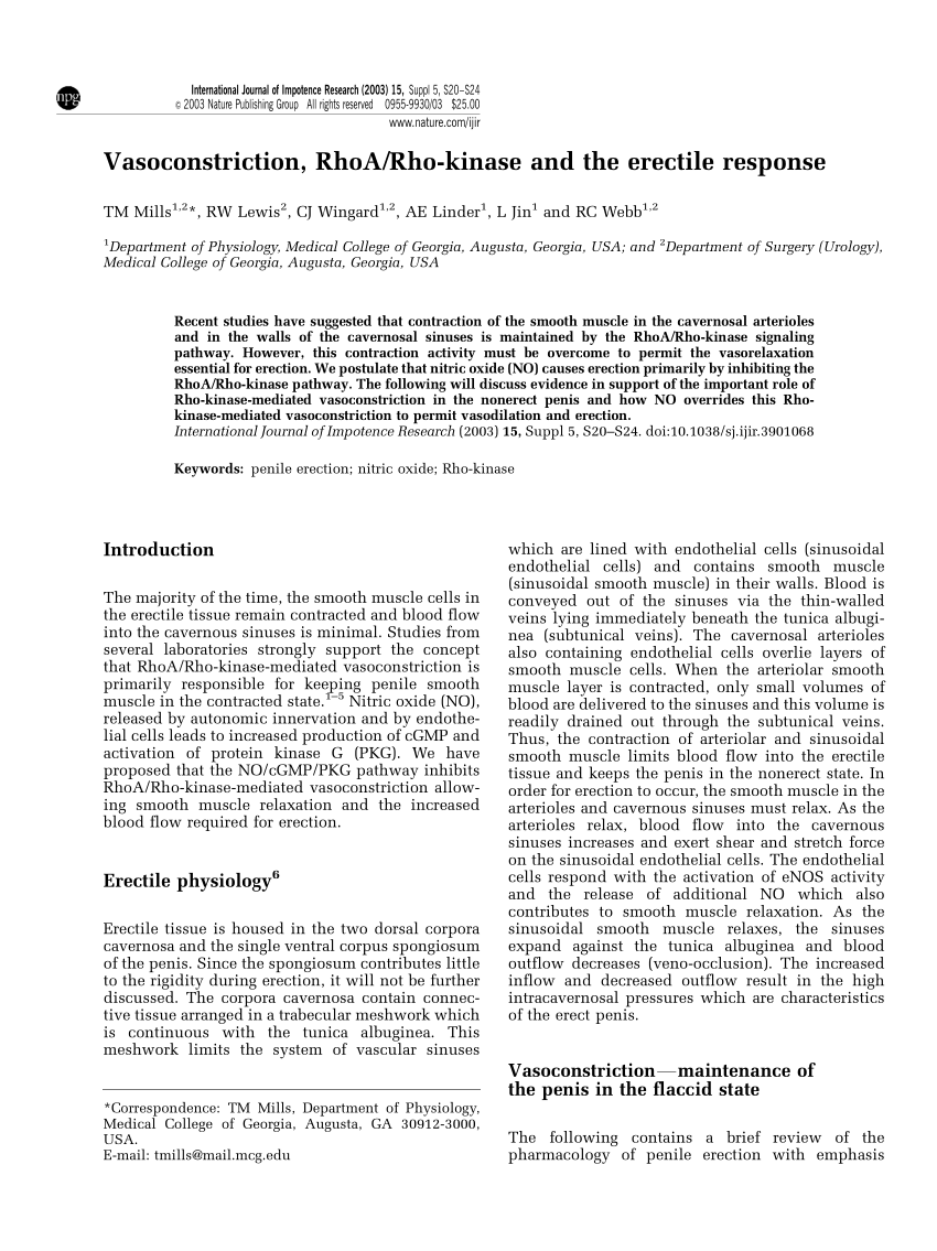 PDF Vasoconstriction RhoA Rho kinase and the erectile response