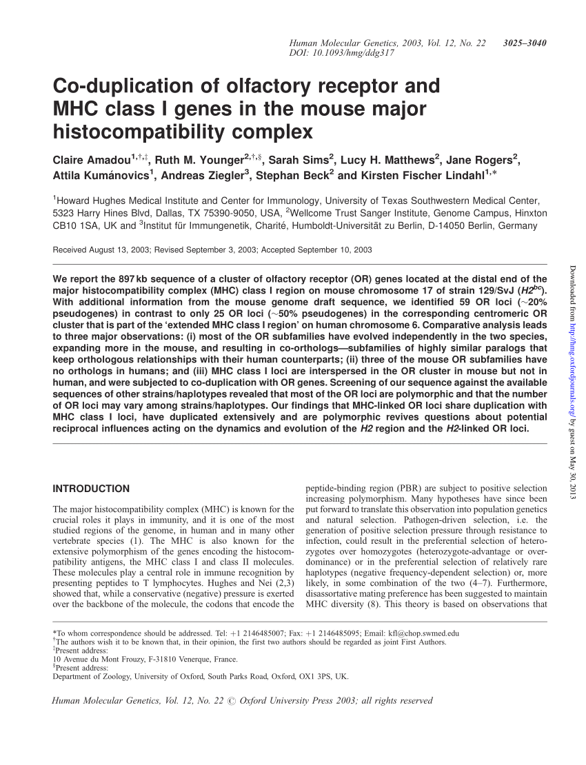 PDF) Co-duplication of olfactory receptor and MHC class I genes in